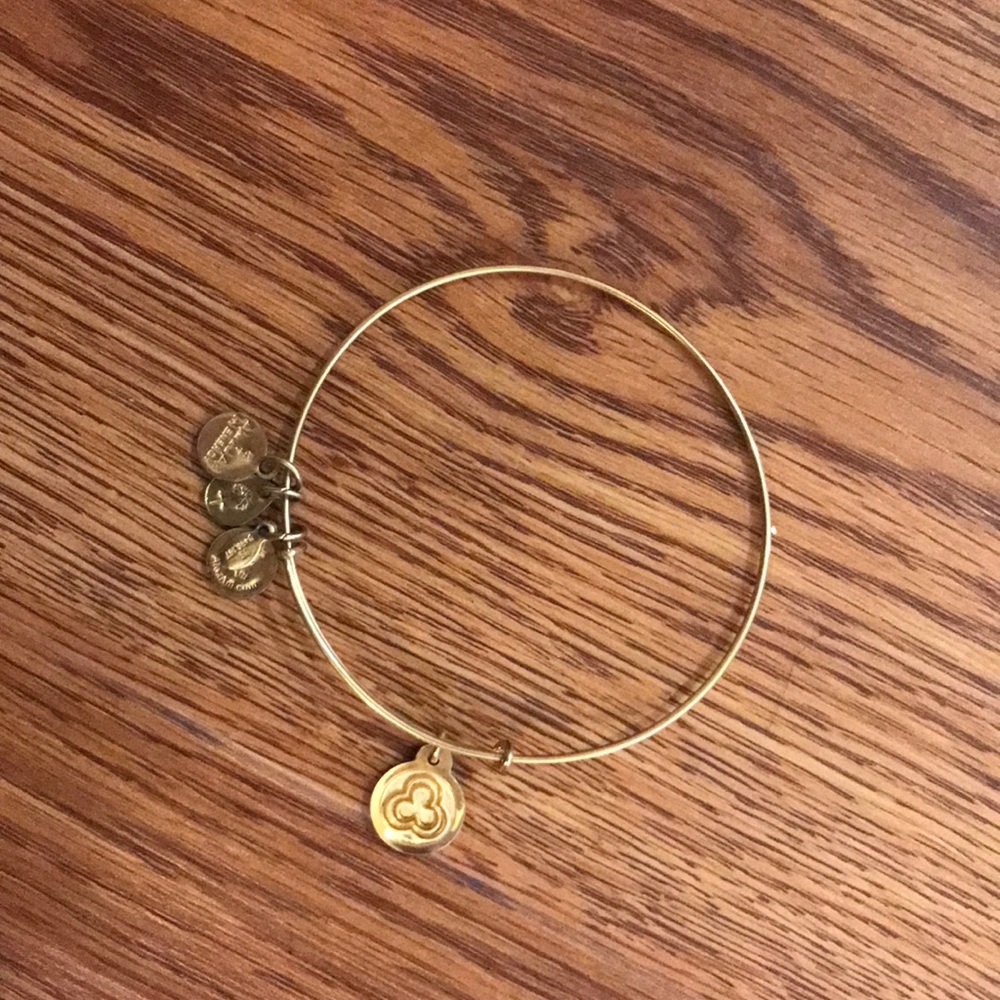 Alex and Ani Shiny Gold Energy Bracelet